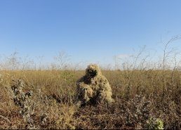 Маскировочная одежда для охоты в интернет-магазине в Кемерово, купить маскировочную сеть с доставкой картинка 14