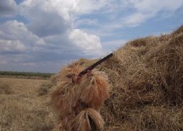 Маскировочная одежда для охоты в интернет-магазине в Кемерово, купить маскировочную сеть с доставкой картинка 28